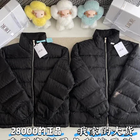 ディオール ダウンジャケット