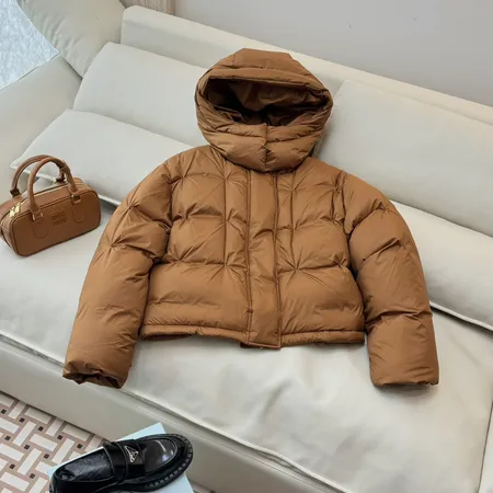 ロエベ ダウンジャケット