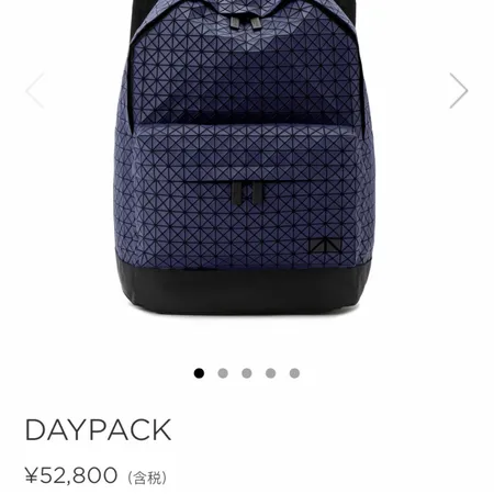 イッセイ ミヤケ リュックサック