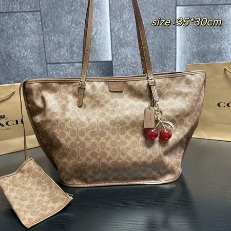 コーチ ハンドバッグ