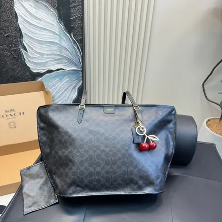 コーチ ハンドバッグ