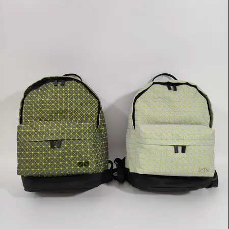 イッセイ ミヤケ リュックサック