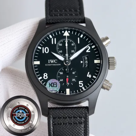 インターナショナル ウォッチ カンパニー 腕時計