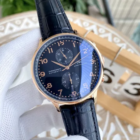 インターナショナル ウォッチ カンパニー 腕時計