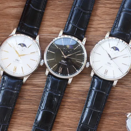 インターナショナル ウォッチ カンパニー 腕時計