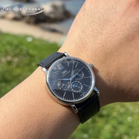 インターナショナル ウォッチ カンパニー 腕時計
