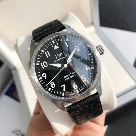 インターナショナル ウォッチ カンパニー 腕時計