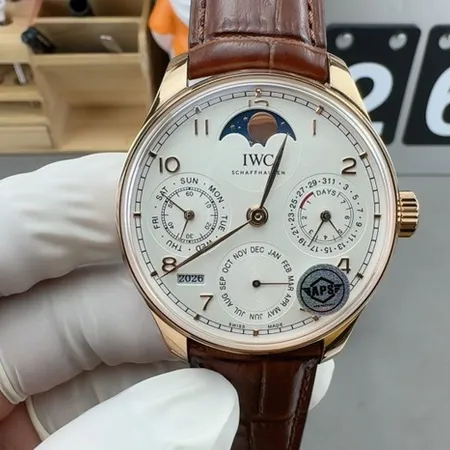 インターナショナル ウォッチ カンパニー 腕時計