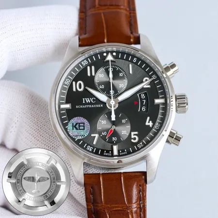 インターナショナル ウォッチ カンパニー 腕時計