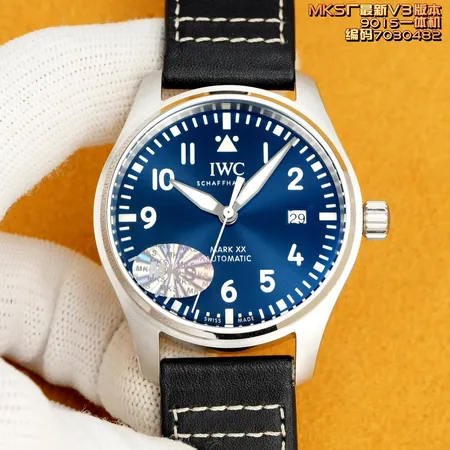 インターナショナル ウォッチ カンパニー 腕時計