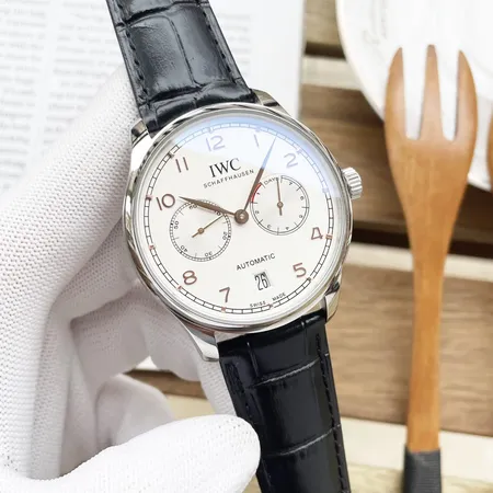 インターナショナル ウォッチ カンパニー 腕時計