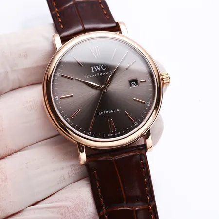 インターナショナル ウォッチ カンパニー 腕時計