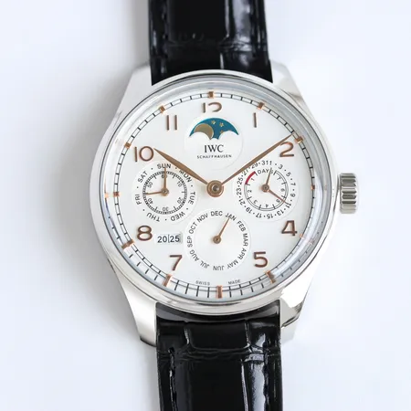 インターナショナル ウォッチ カンパニー 腕時計