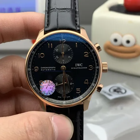 インターナショナル ウォッチ カンパニー 腕時計