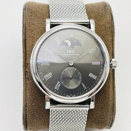 インターナショナル ウォッチ カンパニー 腕時計