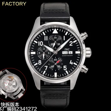 インターナショナル ウォッチ カンパニー 腕時計