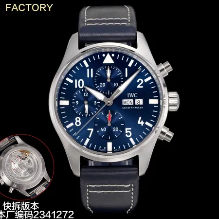 インターナショナル ウォッチ カンパニー 腕時計