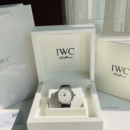 インターナショナル ウォッチ カンパニー 腕時計