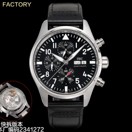 インターナショナル ウォッチ カンパニー 腕時計