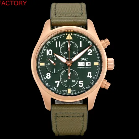 インターナショナル ウォッチ カンパニー 腕時計