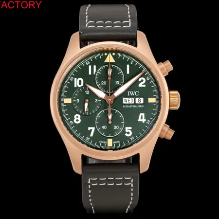 インターナショナル ウォッチ カンパニー 腕時計