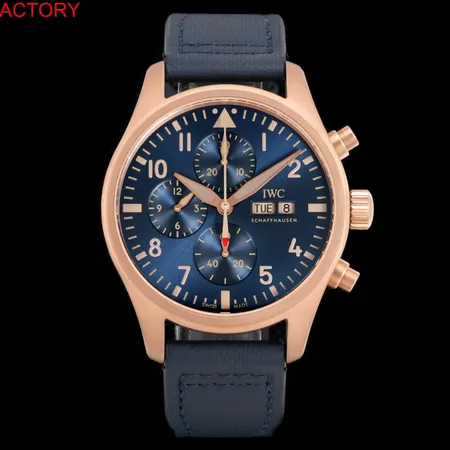 インターナショナル ウォッチ カンパニー 腕時計