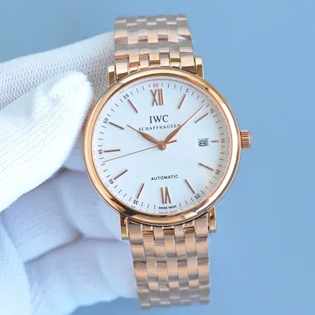 インターナショナル ウォッチ カンパニー 腕時計