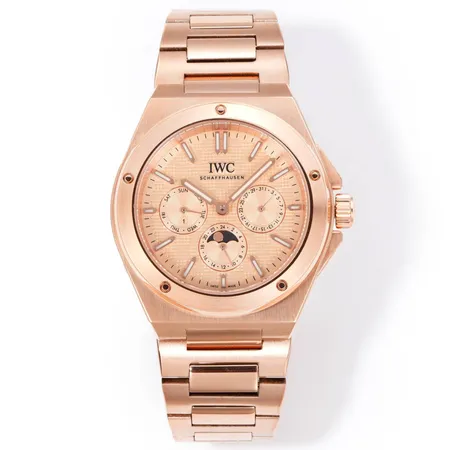 インターナショナル ウォッチ カンパニー 腕時計