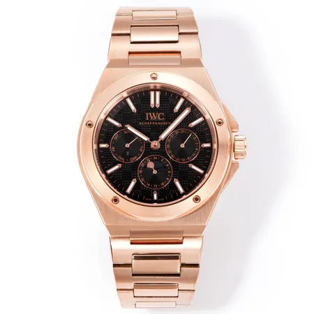 インターナショナル ウォッチ カンパニー 腕時計