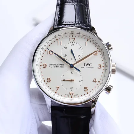 インターナショナル ウォッチ カンパニー 腕時計