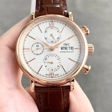 インターナショナル ウォッチ カンパニー 腕時計