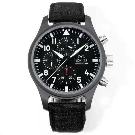 インターナショナル ウォッチ カンパニー 腕時計