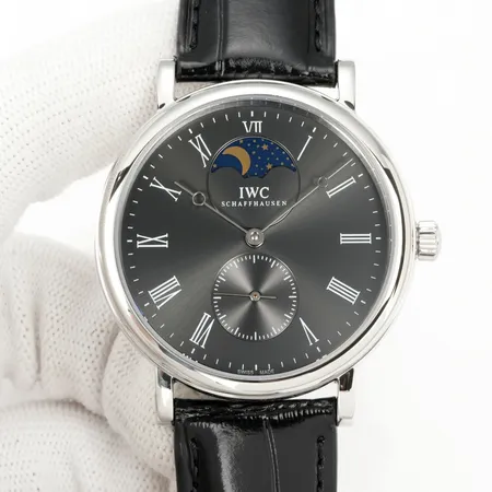 インターナショナル ウォッチ カンパニー 腕時計