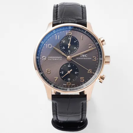 インターナショナル ウォッチ カンパニー 腕時計