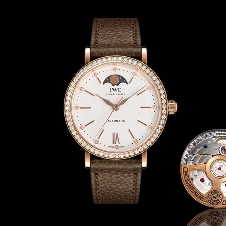 インターナショナル ウォッチ カンパニー 腕時計