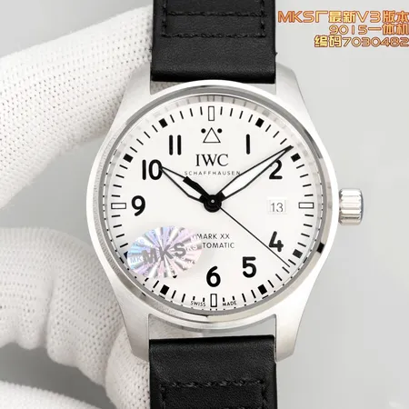 インターナショナル ウォッチ カンパニー 腕時計