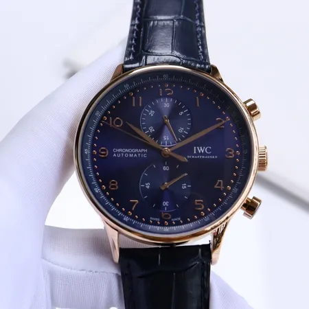 インターナショナル ウォッチ カンパニー 腕時計