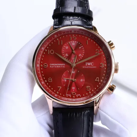 インターナショナル ウォッチ カンパニー 腕時計