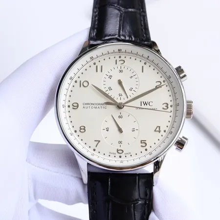 インターナショナル ウォッチ カンパニー 腕時計