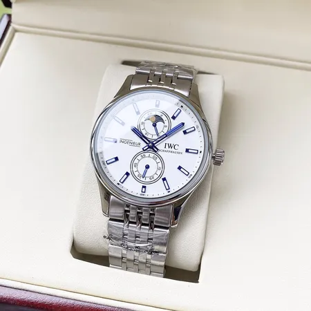 インターナショナル ウォッチ カンパニー 腕時計