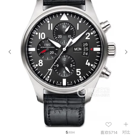 インターナショナル ウォッチ カンパニー 腕時計