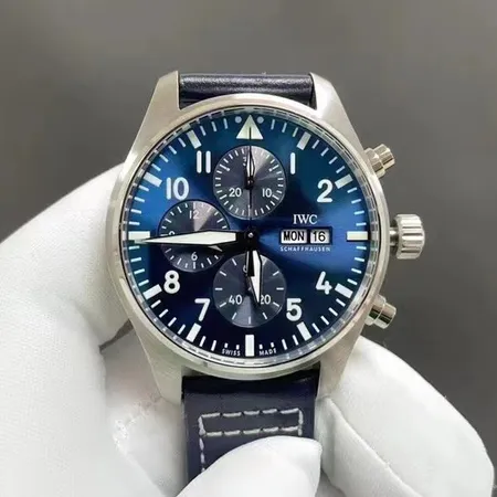 インターナショナル ウォッチ カンパニー 腕時計