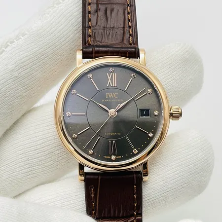 インターナショナル ウォッチ カンパニー 腕時計