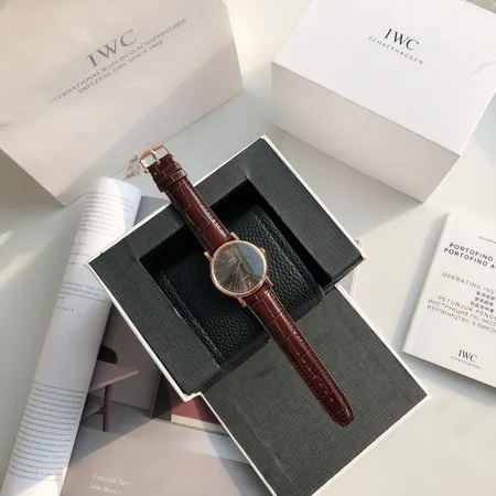 インターナショナル ウォッチ カンパニー 腕時計