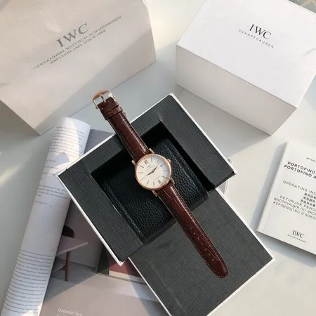 インターナショナル ウォッチ カンパニー 腕時計