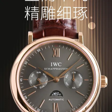 インターナショナル ウォッチ カンパニー 腕時計