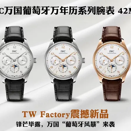 インターナショナル ウォッチ カンパニー 腕時計