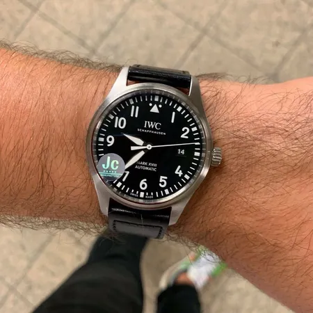 インターナショナル ウォッチ カンパニー 腕時計