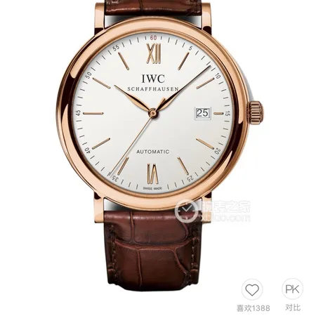 インターナショナル ウォッチ カンパニー 腕時計