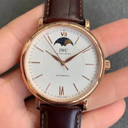 インターナショナル ウォッチ カンパニー 腕時計